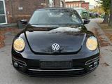 Volkswagen Beetle Cabriolet Allstar BMT/Start-Stopp/Euro6 - Volkswagen Beetle: Allstar