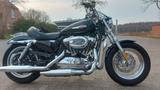 Harley-Davidson Sportster Custom XL 1200 Top Zustand!! - Angebote