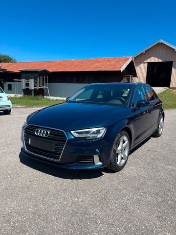 AUDI Audi A3 1.6TDI TÜV/Inspektion NEU