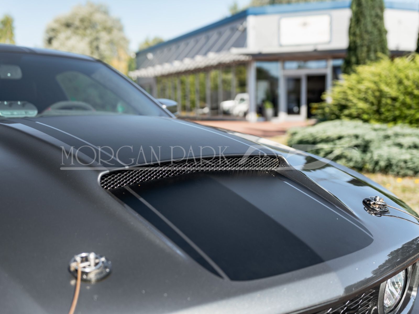 Fahrzeugabbildung Ford Mustang GT *Neidfaktor+480PS*