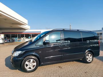 Mercedes Viano - 10