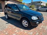 Mercedes-Benz ML 270+Leder+Navi+Ahk+Xenon+Schiebedach+ - Mercedes ML 270 mit Schiebedach