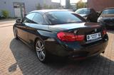 BMW 435 i Cabrio M Sport, LED, RFK - BMW 435 Gebrauchtwagen