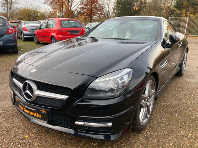 Mercedes-Benz SLK 250 SLK Roadster SLK 250 CDI BlueEfficiency