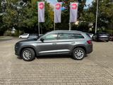 Skoda Kodiaq Style 4x4 - gebrauchte Skoda Kodiaq aus dem Jahr 2024