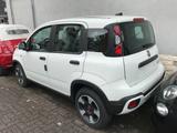 Fiat Panda 1.0 GSE Hybrid MY22 Cross City Sitzheizung - Fiat Panda Tageszulassungen
