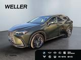 Lexus NX 450h+ E-FOUR Executive Line *Bi-LED*360°*HiFi - Lexus: Nx