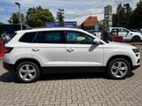 Skoda Karoq Ambition/AppleCaplay/Navi/Klima/Tempomat - Skoda Gebrauchtwagen von 2018