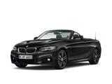 BMW 218i Cabrio M Sport Navi Prof. Klimaaut. PDC RFT - gebrauchte BMW 218 aus dem Jahr 2018