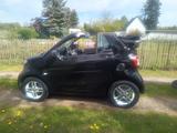 Smart Elektro SMART EQ fortwo Cabrio