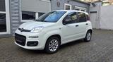Fiat Panda More 1.2 , Klima,PDC,Alu,UConnect - Fiat Panda: More