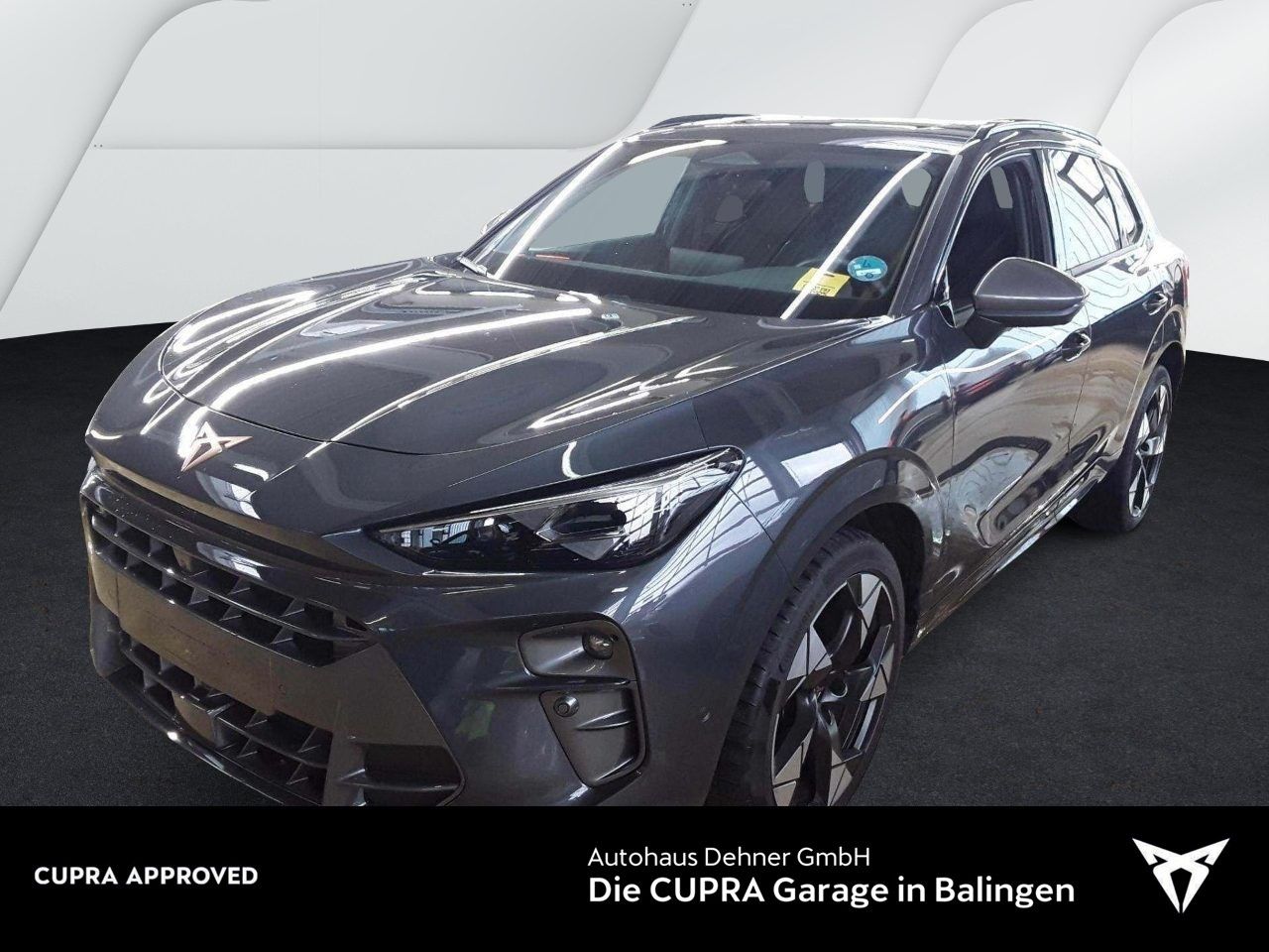 Cupra Terramar VZ 2.0 TSI DSG 4Drive PANO+AHK+SENNHEIS