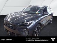 Cupra Terramar - Vorschau Bild 1