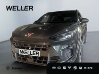 Cupra Terramar - Vorschau Bild 1