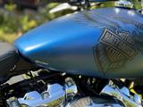Harley-Davidson Breakout Limited Edition 114 Anniversary - HARLEY-DAVIDSON ANNIVERSARY EDITION