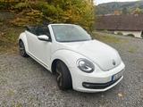 Volkswagen Beetle 2.0 TDI 81kW DSG BMT Excl. Design Cab... - Volkswagen Beetle mit Diesel-Antrieb: Automatik