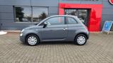 Fiat 500 Cult*Sitzh*PDC*Hybrid - Fiat 500 Cult mit Benzin-Antrieb