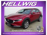 Mazda CX-30 2.5l (140PS) Centre-Line Navi Kamera NEU 2 - Mazda Neuwagen: Geländewagen