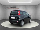 Fiat Panda 1.0 Firefly Hybrid //PDC hinten/Spurhaltea - Fiat Panda Jahreswagen