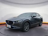 Mazda CX-30 2.0L SKYACTIV X 186PS 6AT Exclusive-Line - Mazda CX-30 in Dresden