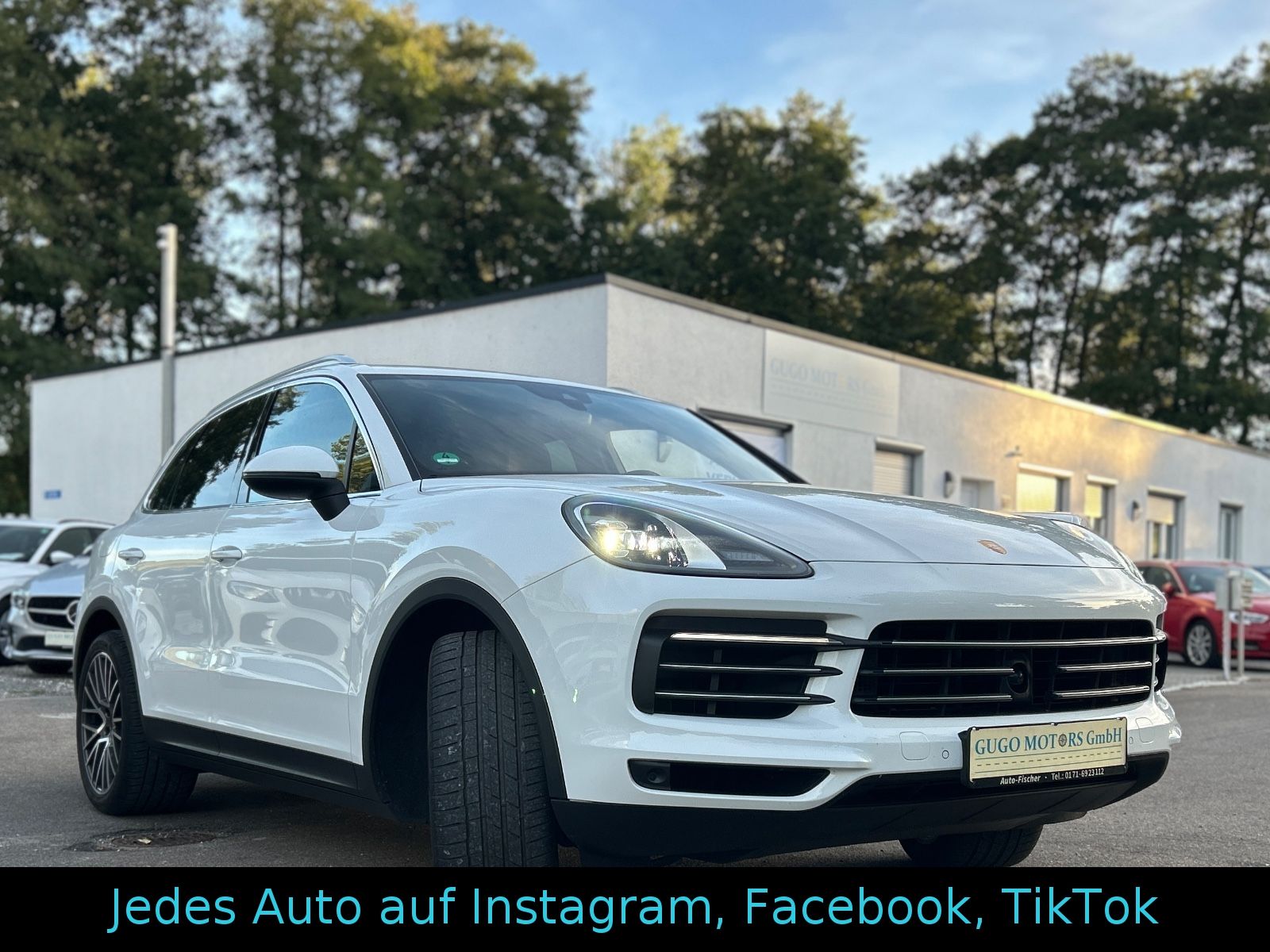 Porsche Porsche Cayenne 3.0 / Luft(PASM) / Holzlenkrad
