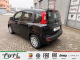 Fiat Panda 1.0 GSE 70PS Klima PDC DAB+ Radio - Fiat Panda: Schwarz