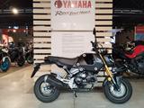 Honda MSX 125 *geringe Laufleistung* - HONDA KLEINKRAFTRAD