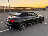 Audi S5 TFSI tiptronic quattro Cabrio B&O 360  - Audi S5 in Duisburg