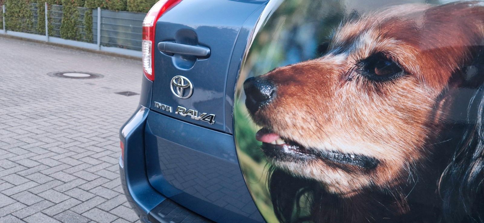 Toyota RAV 4 RAV4 Life 2,0i Benzin 1 Hand 4 Türen