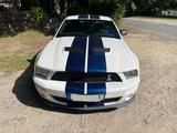 Ford Mustang GT 500 aus Sammlung Originalzustand - Ford Mustang: Or