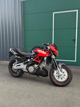 Aprilia Shiver 750 - APRILIA SHIVER 750