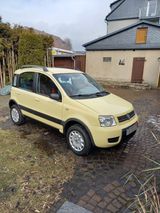 Fiat Panda Allrad 4x4 Climbing Baujahr 11/... - Fiat Panda: Climbing