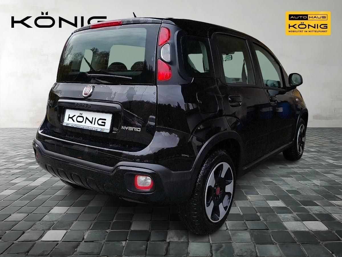 Fiat Panda - Bild 3