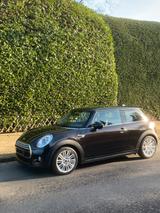 MINI COOPER, Wired, Chili, 1.Hd, Leder,Navi, Panorama - MINI Cooper: Chili