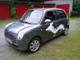 Daihatsu Trevis der zuverlässige  Mini  - Daihatsu TREVIS Gebrauchtwagen