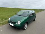 Volkswagen Lupo 1.0*66tkm*Klima*Ganzjahres*HU03/28* - Volkswagen Lupo: 1.6