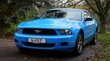 Ford 2010 4.0L V6  Premium - Ford Mustang Gebrauchtwagen in Wuppertal