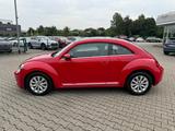 Volkswagen Beetle Lim. Design BMT Panoramadach - Volkswagen Beetle: Kleinwagen