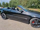 Mercedes-Benz Mercedes CLK Cabrio Avantgarde - aus 2006: Mercedes Clk