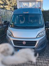 Fiat Ducato Knaus K250L R64 - Offers