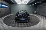 Ford Mustang Shelby 500 GT Cabrio Performance PREMIUM - Ford: Shelby