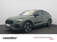 Audi SQ5 - Vorschau Bild 1