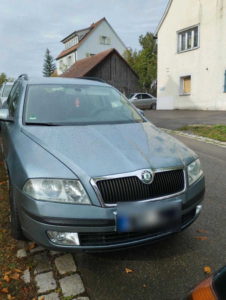 Skoda Octavia 2006 — вигляд ззаду