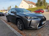 Lexus UX 250h Style Edition 