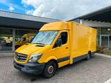 Mercedes-Benz Sprinter Koffer / Camper / Foodtruck / Wohnmobil - : Van, Koffer