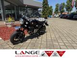 Honda Monkey 125 Z125MAT ED Monkey125 - Angebote