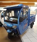 Andere Elektrofrosch Cargo Trike Andere Pritsche kippba - Andere Gebrauchtwagen