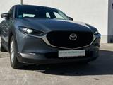 Mazda CX-30 Mildhybrid / 360-Kamera - Mazda Gebrauchtwagen in Stuttgart