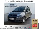Fiat Panda 1.0 DAB Berganfahrass. Klima BT teilb.Rück - Fiat Panda mit Hybrid-Antrieb