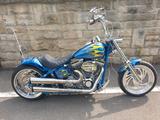 Harley-Davidson Softail Umbau sehr gepflegt Chrom - HARLEY-DAVIDSON 2002
